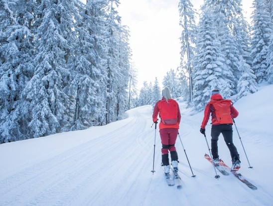 Skitouren durch die Winterlandschaft